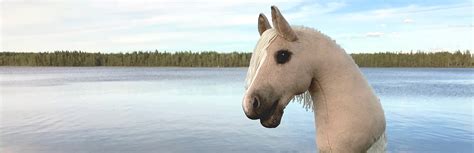 Baumi Horses .